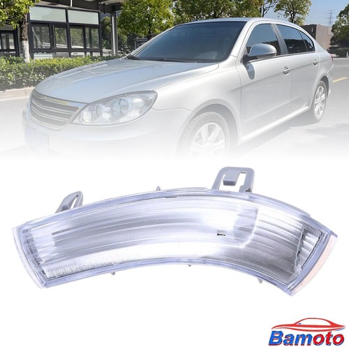 Spiegelblinker blinker links - blinker,